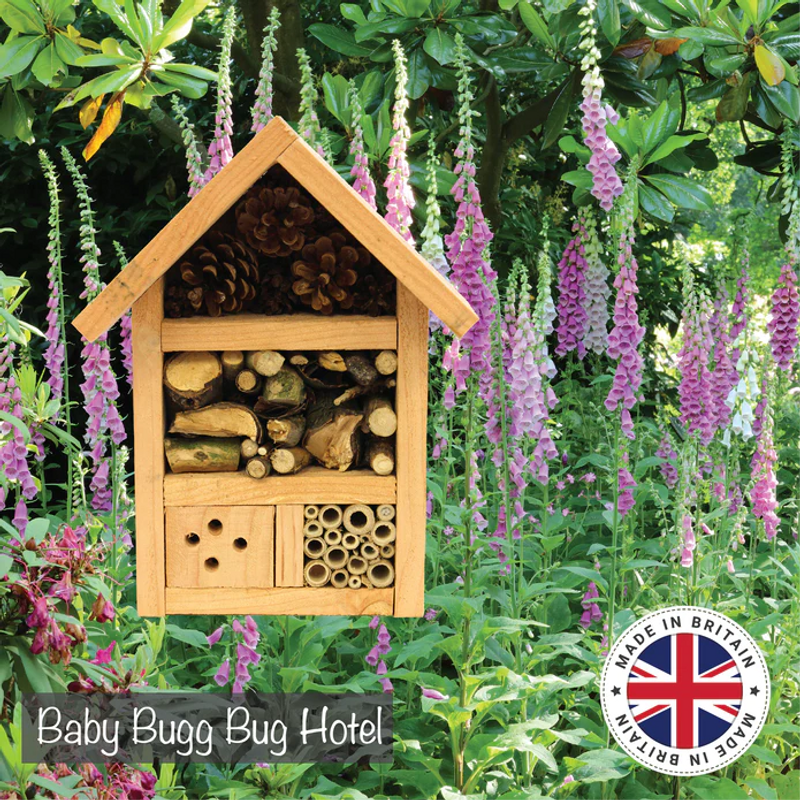 Baby Bugg Bug Hotel