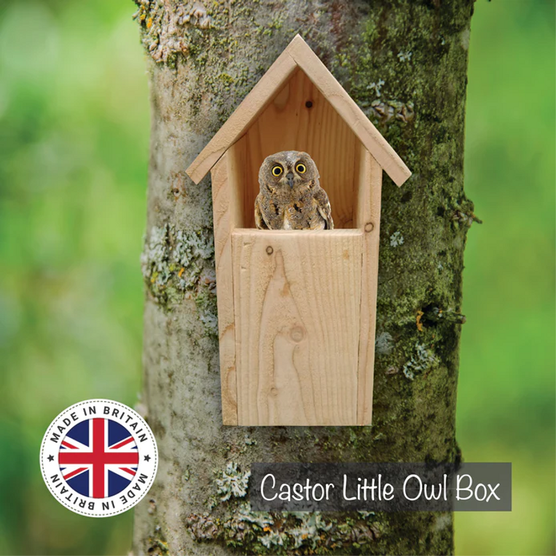 Castor Little Owl Nesting Box