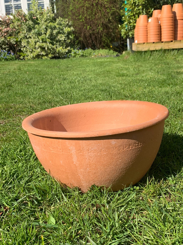Bulb bowl medium - Yorkshire pots (slight seconds)