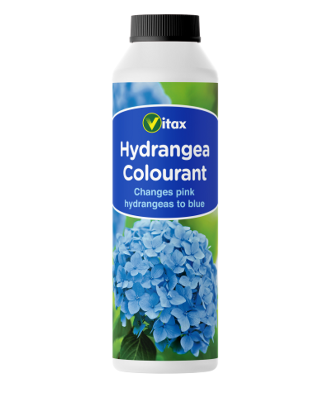 Hydrangea Colourant (250g)