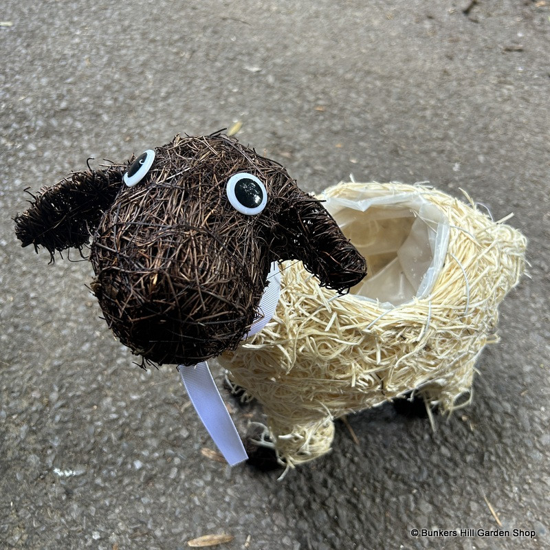 Sheep planter