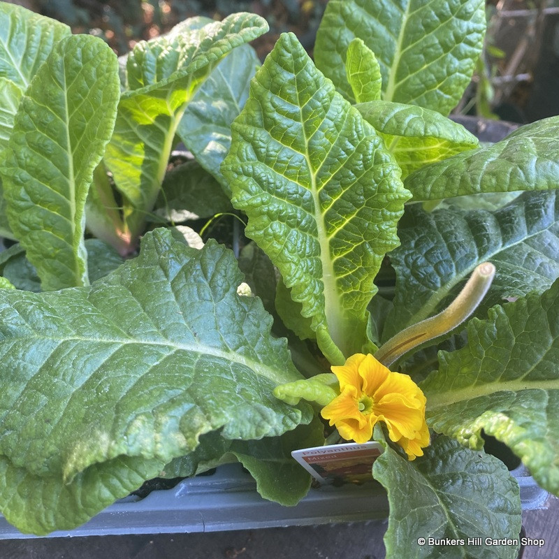 Winter bedding pack