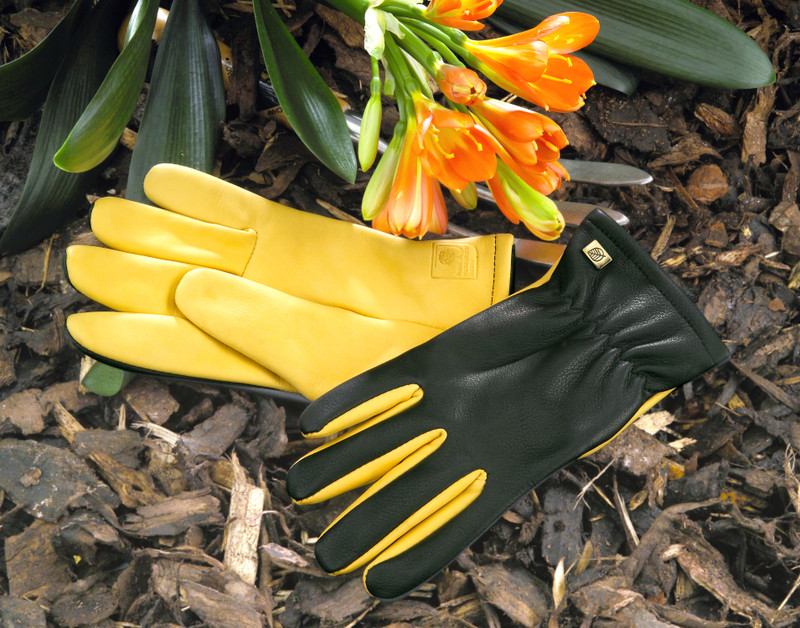 Dry Touch gents gloves (Gold Leaf)