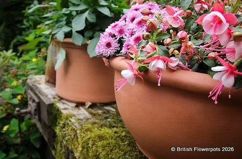 Bedding/Bulb bowl