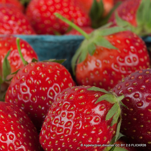 Strawberry - pack of 6