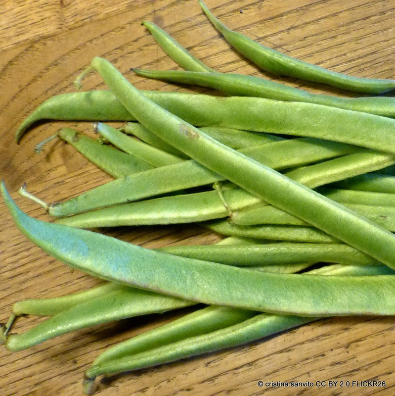 Runner Bean - 6 Pack