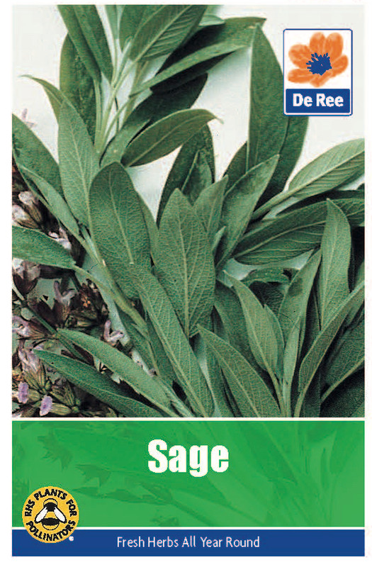 Sage Seeds