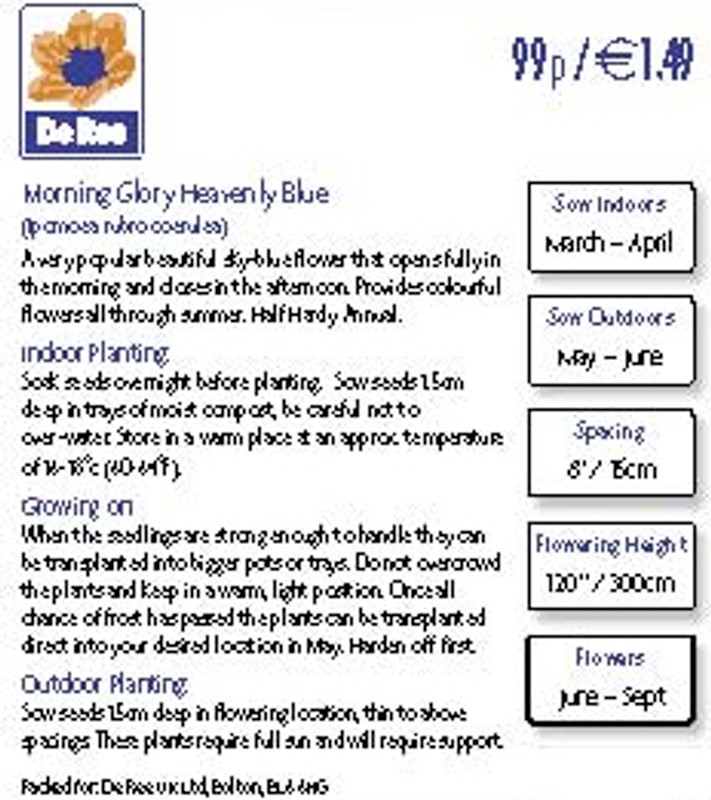 Morning Glory 'Heavenly Blue' Seeds