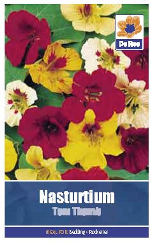 Nasturtium 'Tom Thumb' Seeds