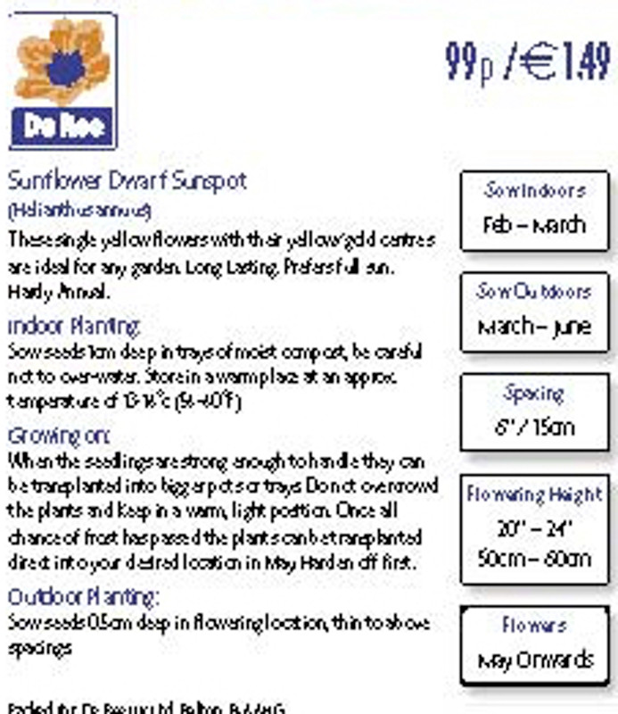 Sunflower 'Dwarf Sunspot' Seeds
