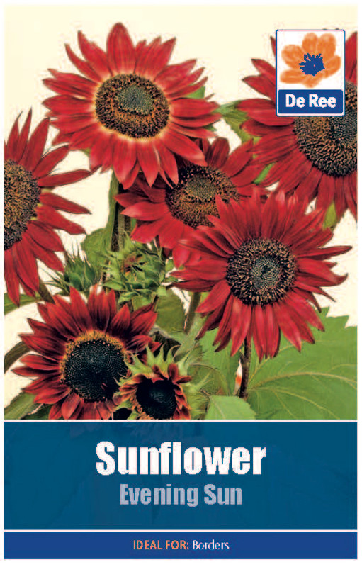 Sunflower 'Evening Sun' Seeds