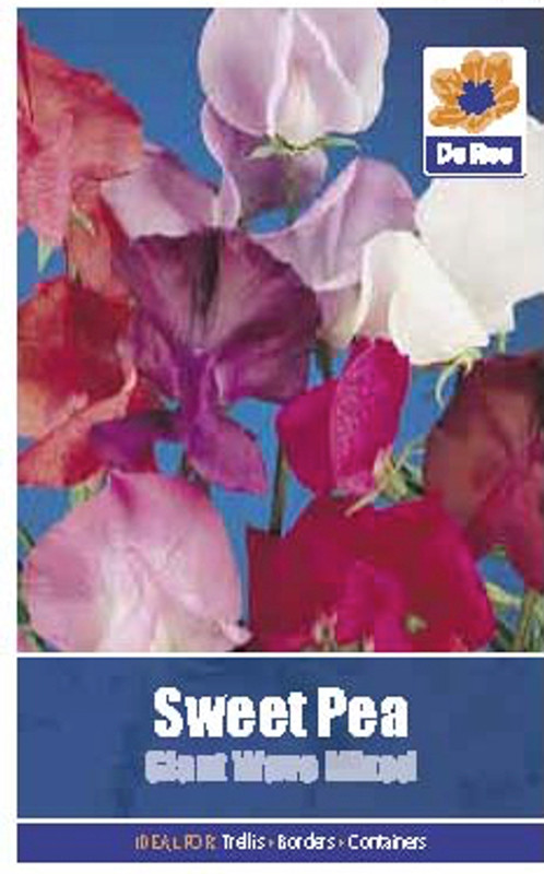 Sweet Pea 'Giant Wave Mixed' Seeds