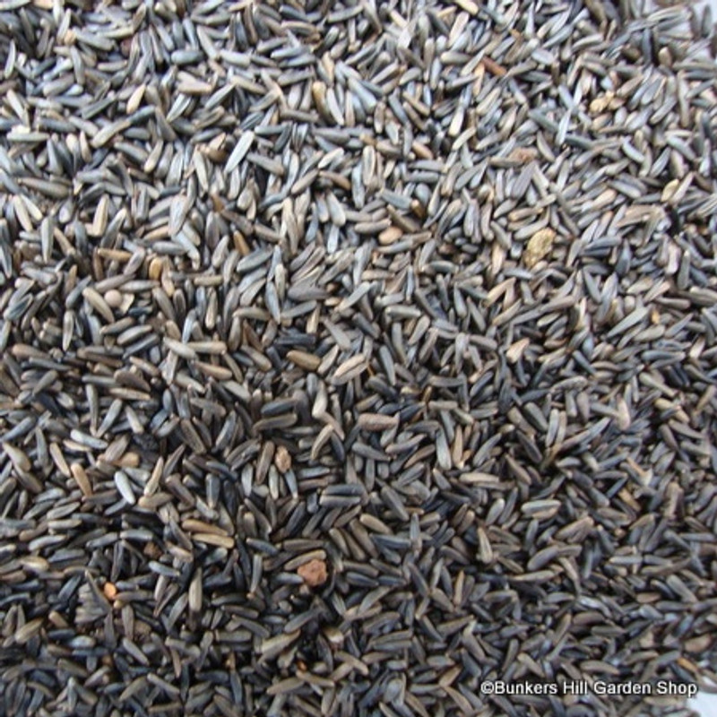 Niger seed - 12.75kg