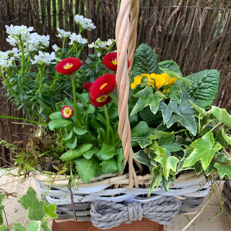 Spring Basket