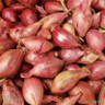 Red onion sets 'Red Windsor' - 250g