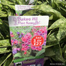 Pulmonaria 'Raspberry Splash' - 3L