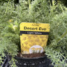 Achillea 'Desert Eve Light Yellow'