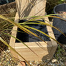 Stained Glass Garden Sculpture (with Planter) - Sunburst