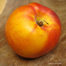 Nectarine 'Humboldt' 2yr old tree on St Julian A rootstock