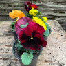 Pansy & viola pot