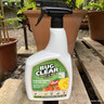 Bug Clear Fruit & Veg Ultra 800ml Spray