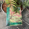 Sorbaria sorbifolia 'Sem' - 3L