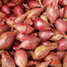 Red onion sets 'Red Winter' - 250g
