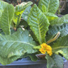 Winter bedding pack