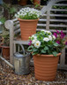 Ribbed Flowerpots