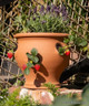 Strawberry pot