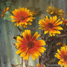 Heliopsis 'Funky Spinner'