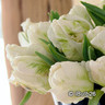 Tulip 'Super Parrot'