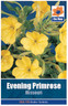 Evening Primrose Seeds