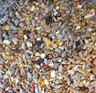 Superior wild bird seed with fruit (wheat-free) - 12.75kg