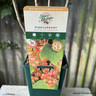 Pinkcurrant 'Gloire de Sablons' - 3ltr pot