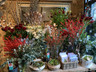 Christmas flower selection - pastels