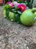 Caterpillar pot