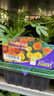 French Marigold - 6 Pack