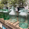 Handmade glass bottle/terrariums