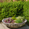 Alpine Low Bowl - 55cm