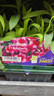 Dianthus - 6 Pack