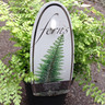 Polystichum setiferum 'Proliferum' - S