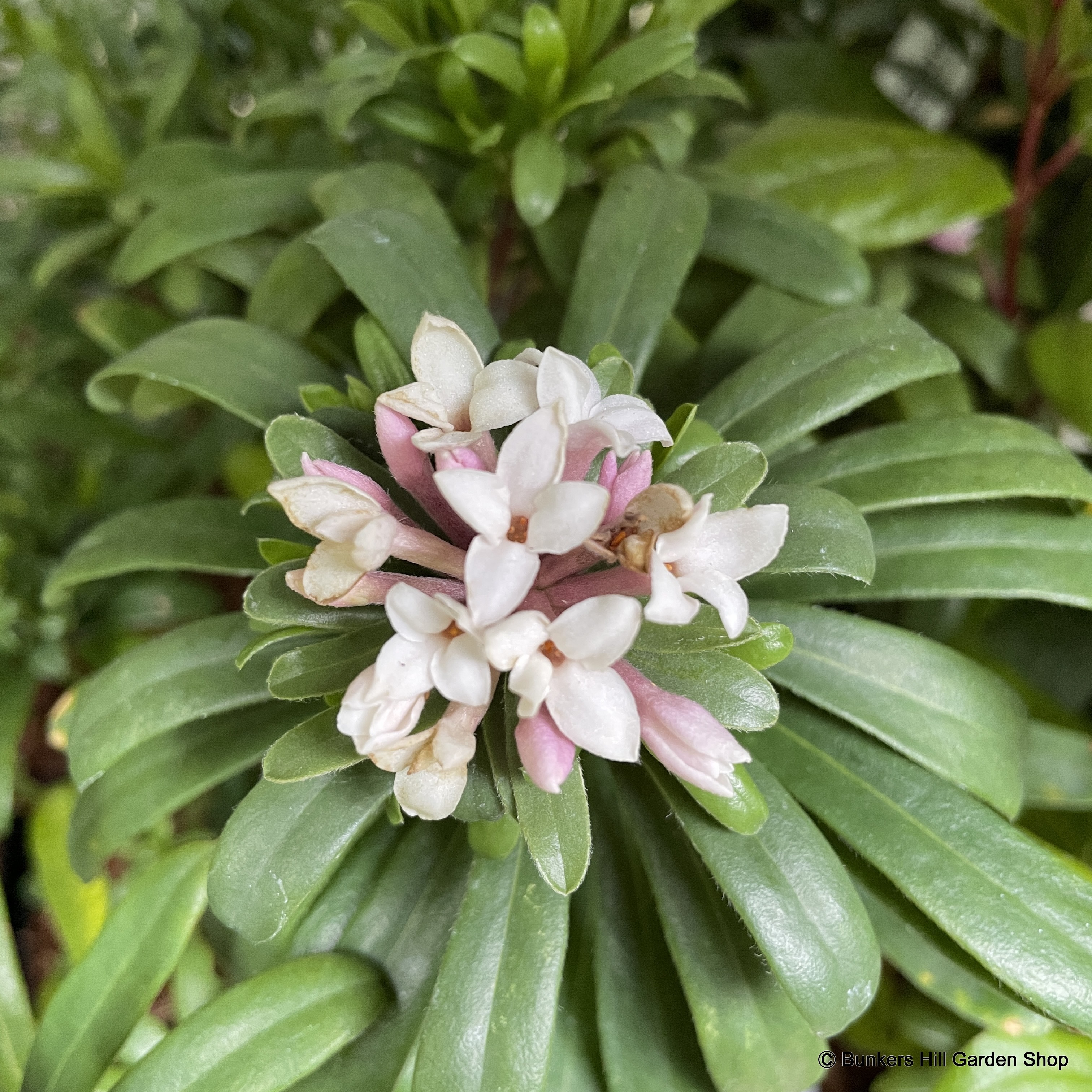 This Week's Favourites