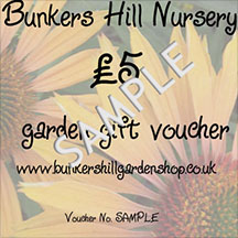 Paper Vouchers (for nursery)