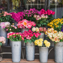 Flower Shop