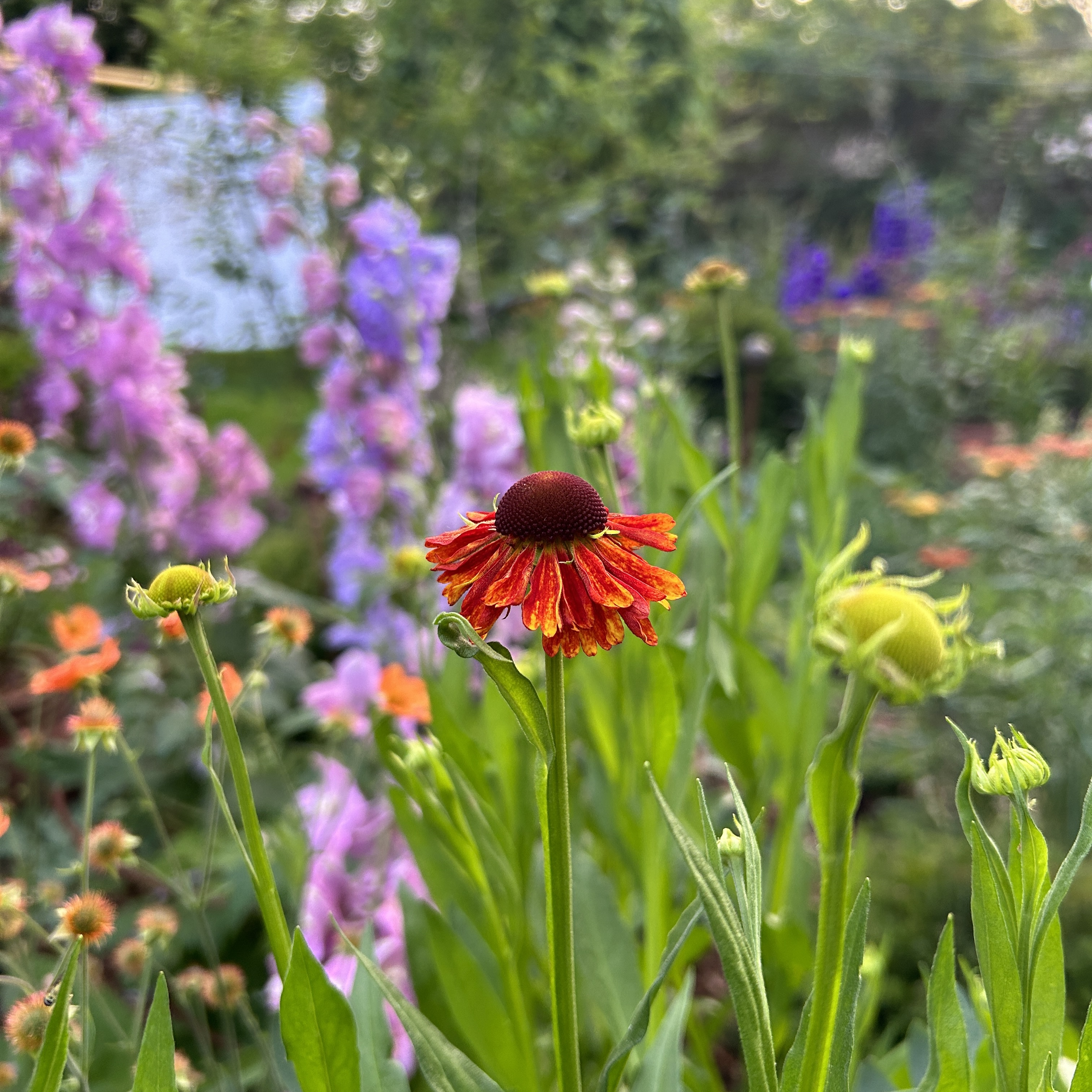 Local Gardening Professionals