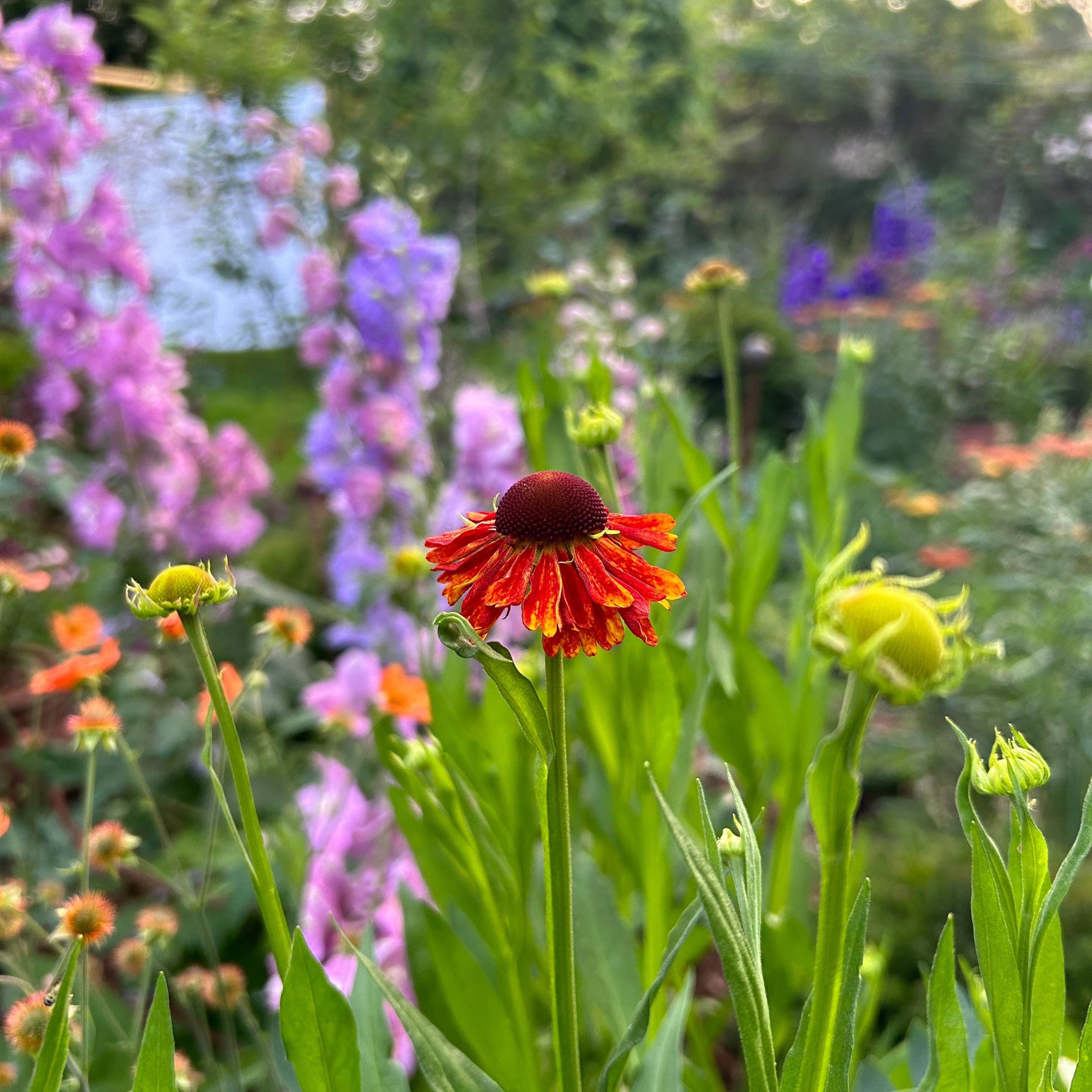 Local Gardening Professionals