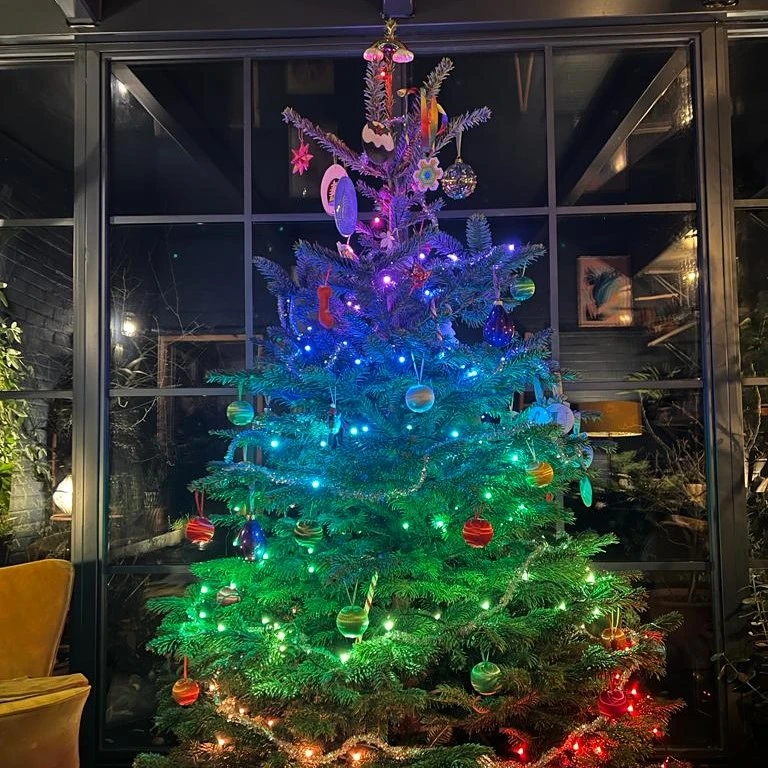 Twinkly Christmas Lights