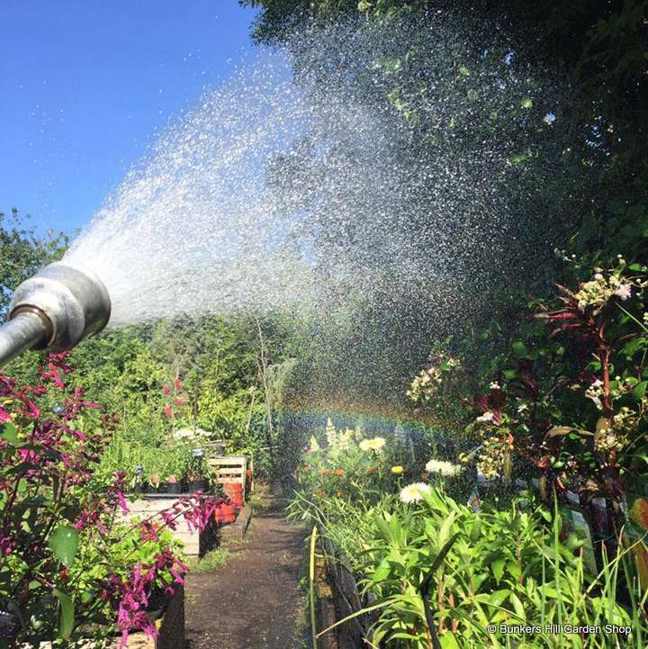 Andrew's Watering Guide