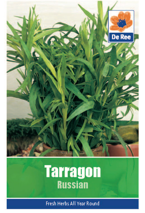 Tarragon 'Russian' Seeds Bunkers Hill Plant Nursery
